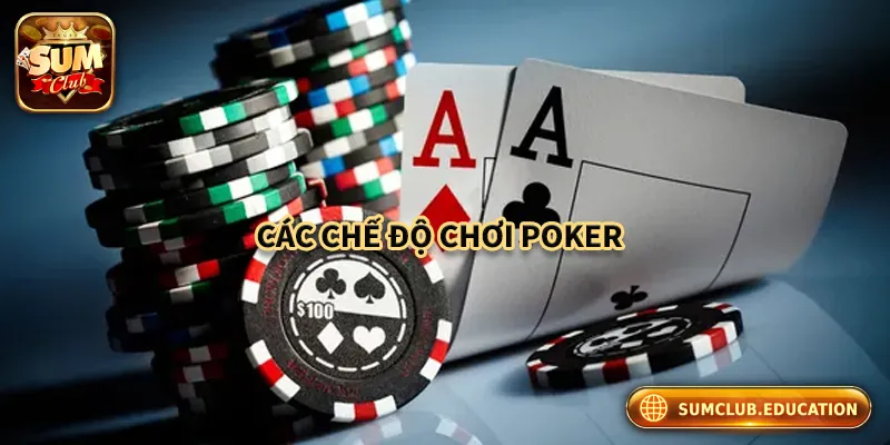 Poker "Gây Sốt" Tại Sum Club – Game Thủ Đổ Xô Trải Nghiệm Các chế độ chơi Poker tại Sum club